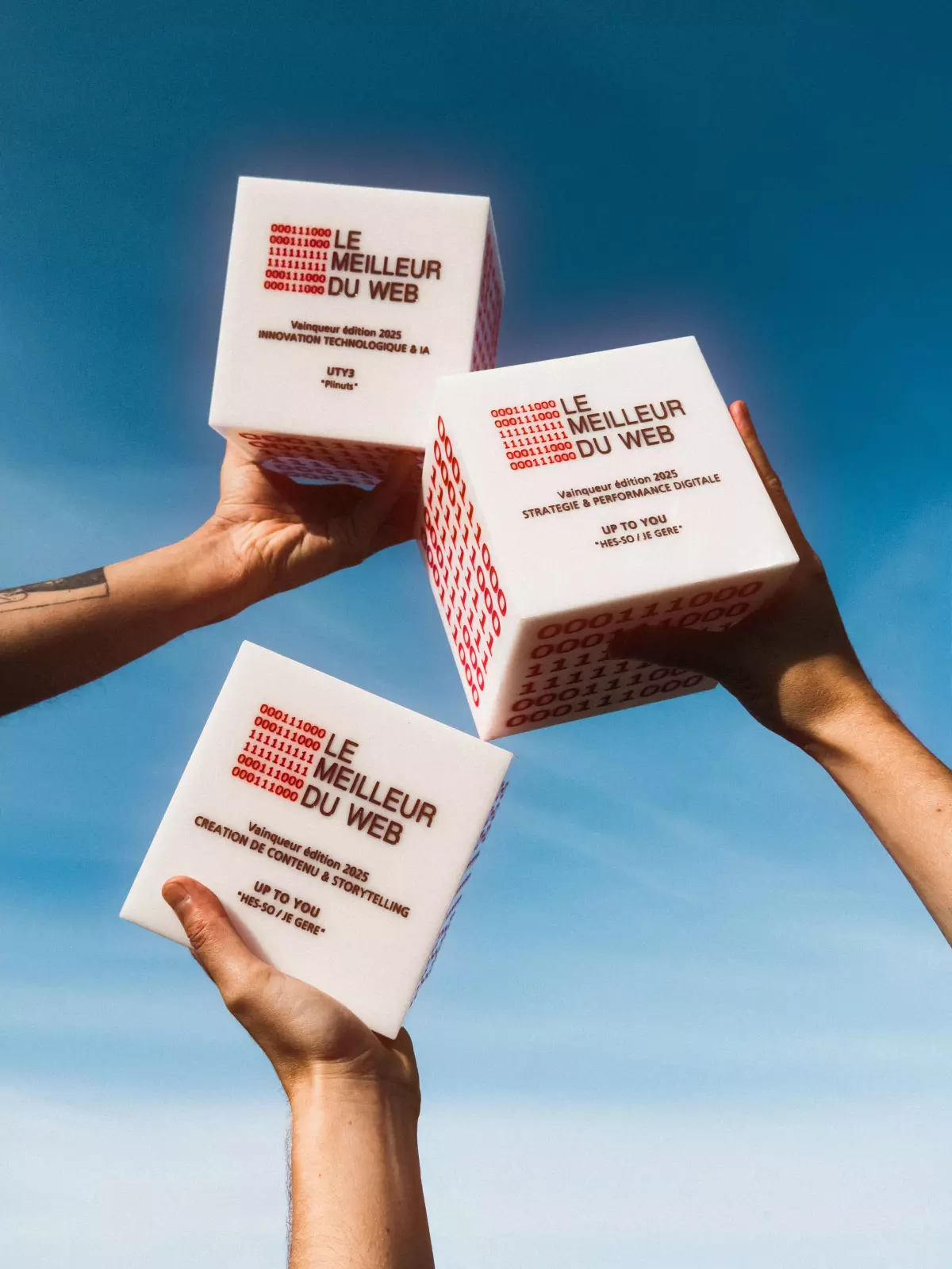 UTY3 wins a Cube at the Meilleur du Web